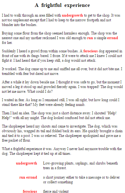 Personal experience essay example image