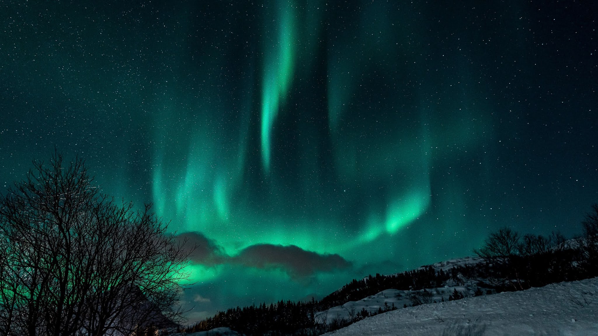 Hd Wallpaper Winter Northern Lights Night Snow