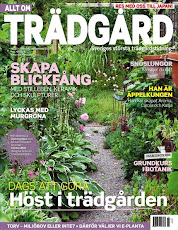 Reportage i tidningar