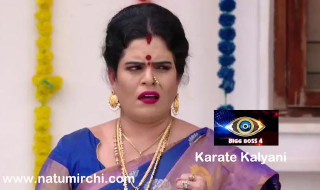 Bigg Boss Telugu Season 4 Contestants List With Photos Natumirchi