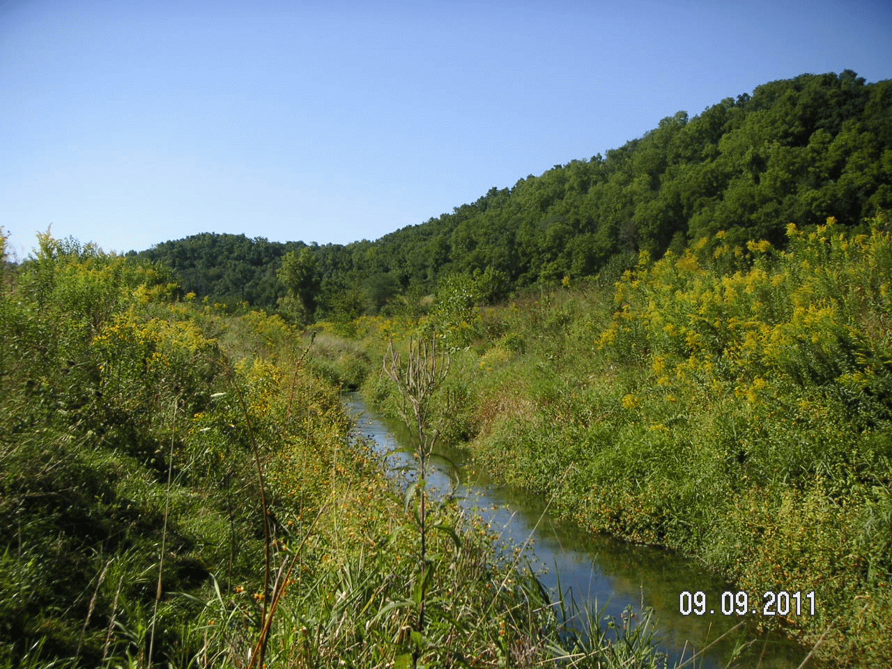 Trout Fishing Western Wisconsin: Crooked Creek, Grant County 9/9/11