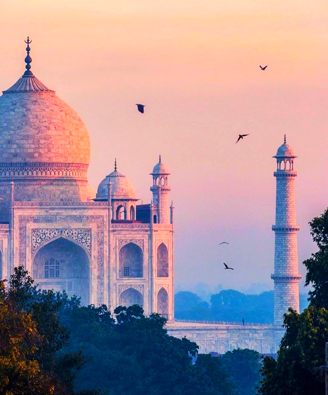 30 Best Beautiful Taj Mahal Photos Of  2020  | Taj Mahal Photo Gallery India | Taj Mahal HD Images