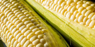 Milpa cocina mexicana maíz Milpa cocina mexicana maíz