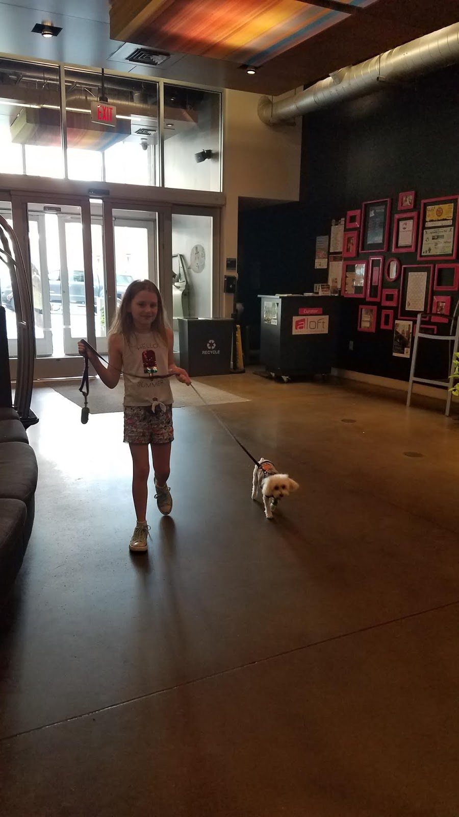 A Vacation for Dogs in Asheville, NC Dogs Like the Aloft Asheville