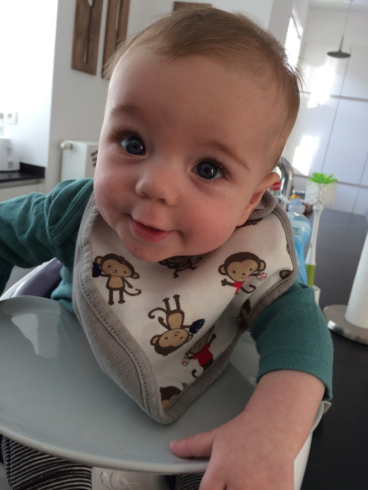 tripp trapp table tray