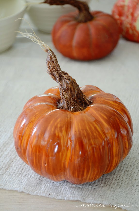DIY Pumpkins with Realistic Looking Stems | www.andersonandgrant.com