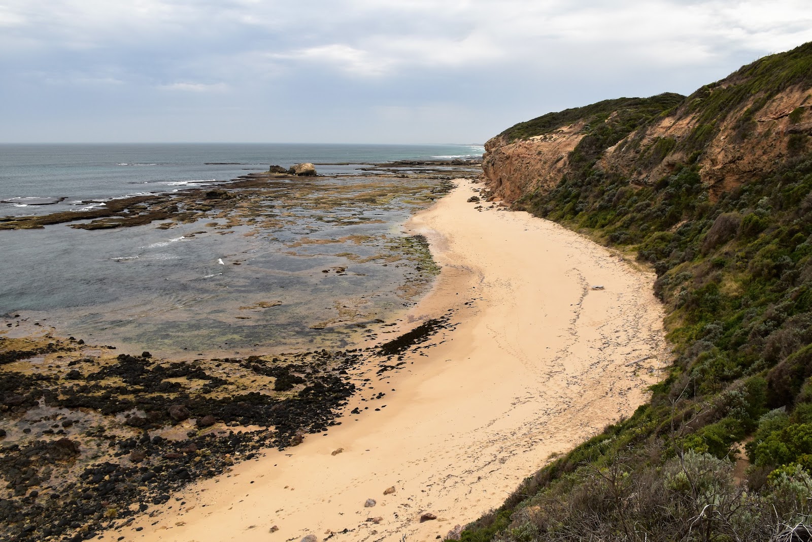 Goin' Feral One Day At A Time: Fingal Beach to Cape Schank Circuit ...