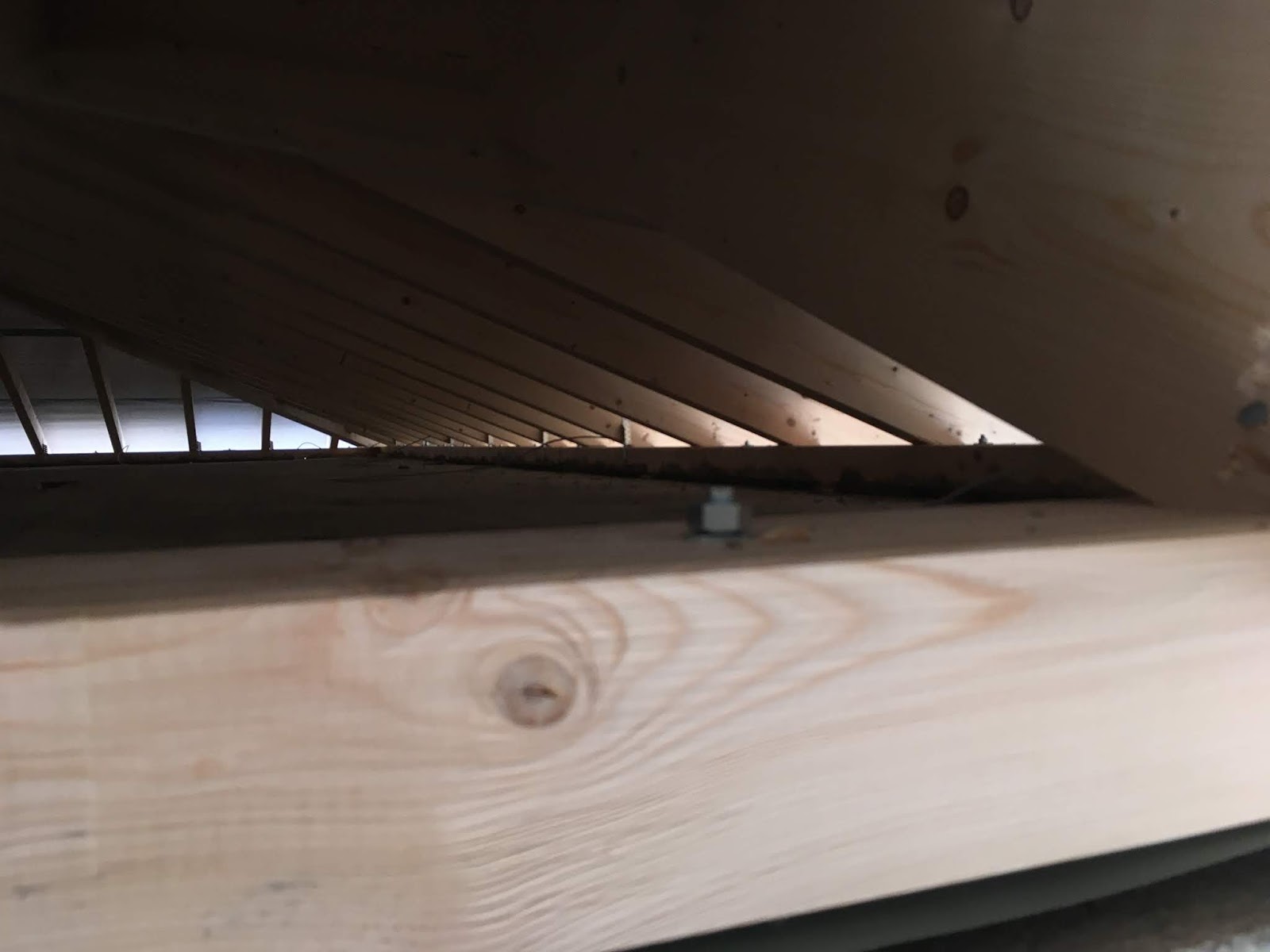 Hausbau Nadine, Max & Alex: Dachstuhl geliefert und montiert