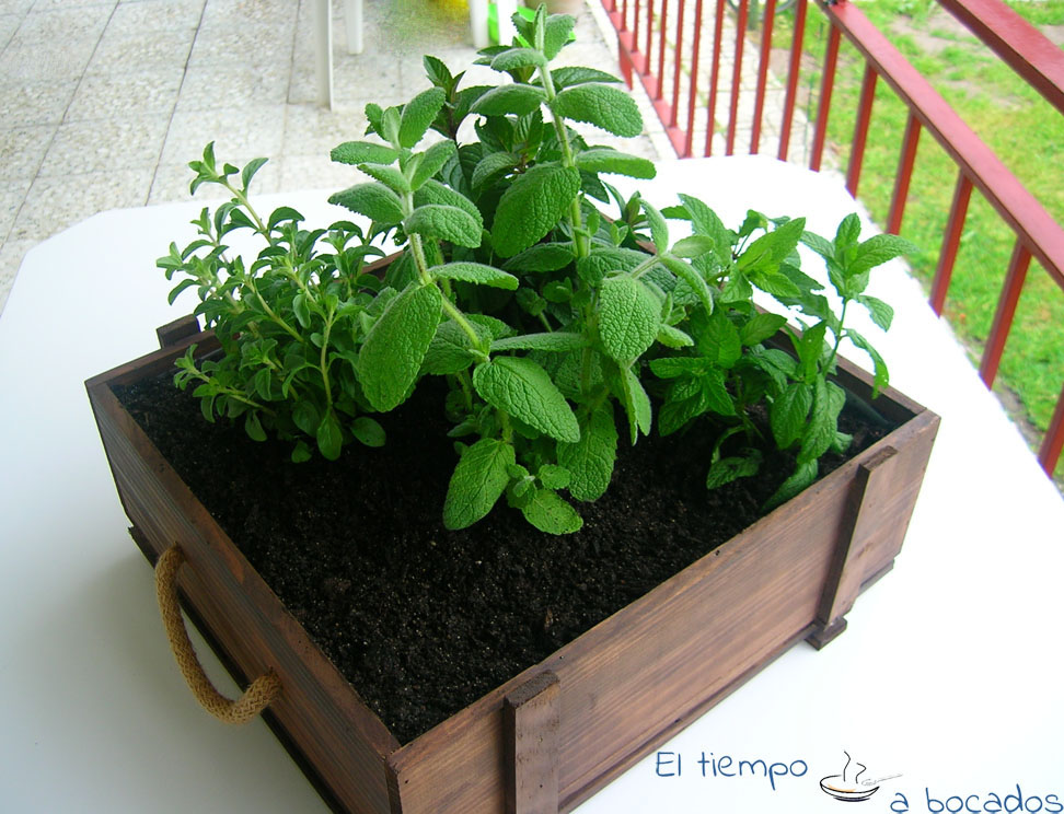 El tiempo a bocados: Un huerto en casa. Cajas de madera