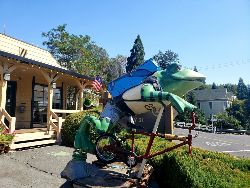 20210918_184611.jpg?profile=RESIZE_710x