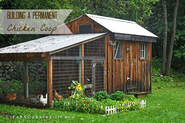 The Essential Features of a Chicken Coop ~ Best Chicken Coop Guide