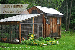 coop chicken coops building chickens permanent designs plans diy build run rustic slope weather garden features lovely greens hen cold