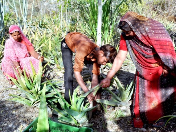 This Indian Village Plants 111 Trees Every Time a Girl Is Born