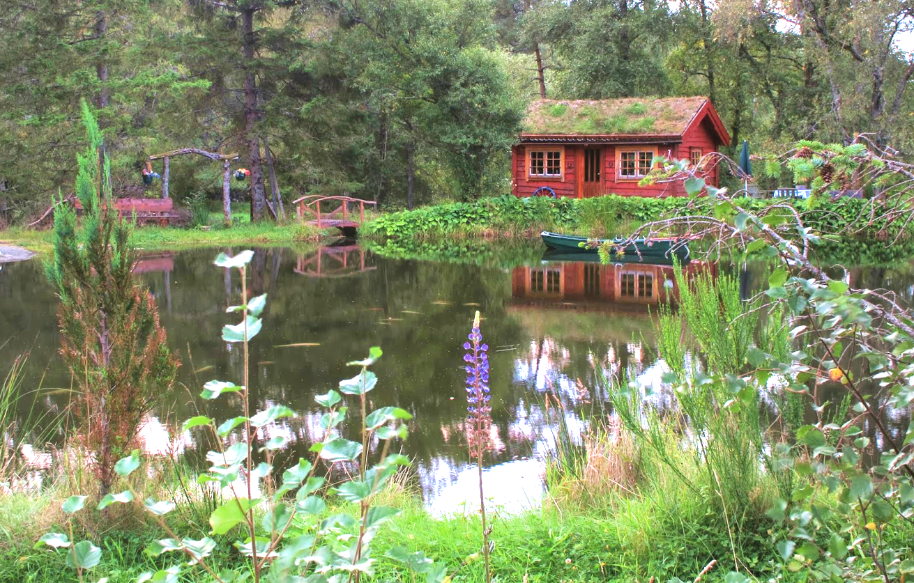 Coolest Cabins Cabin on the lake,