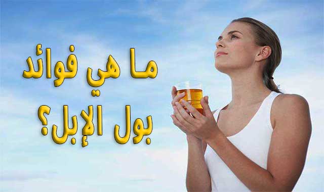 الطب البديل : ما هي فوائد بول الإبل؟ الطب البديل : ما هي فوائد بول الإبل؟