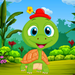 Play Palani Games - Palani Comely Turtle Escape Game