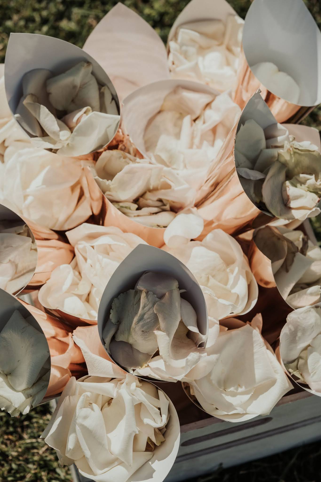 shannon stent photography stunning fraser gallop estate bridal gowns venue floral design