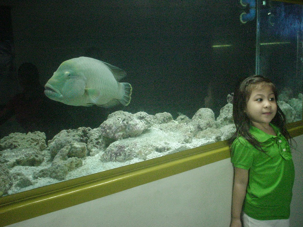 Cebu Aquarium Guide