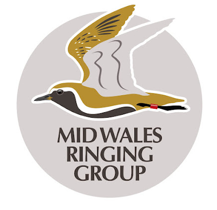 Mid Wales Ringing Group