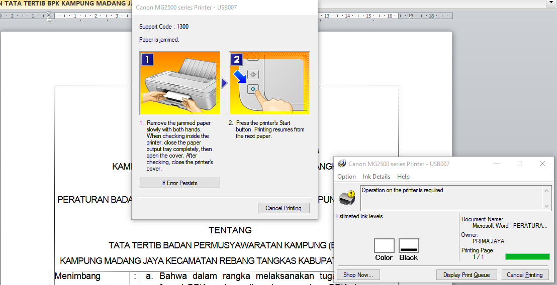 Canon MG 2570 S Paper Jammed Tidak Bisa Narik Kertas