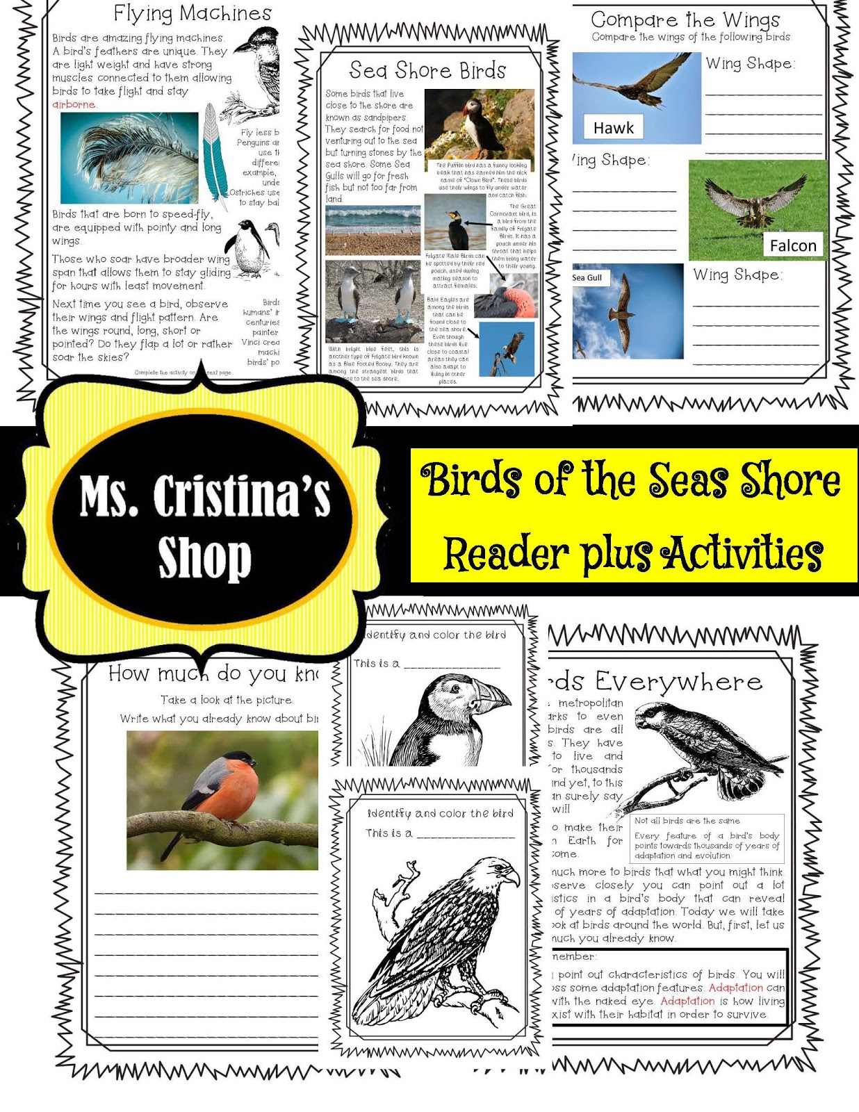 The Hermit Crabs Homeschool: Birds Unit of Study