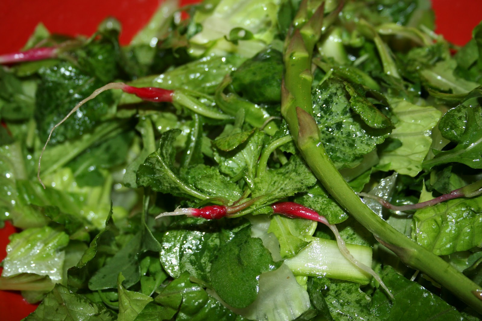 urban food producer Radish greens have you tried them?