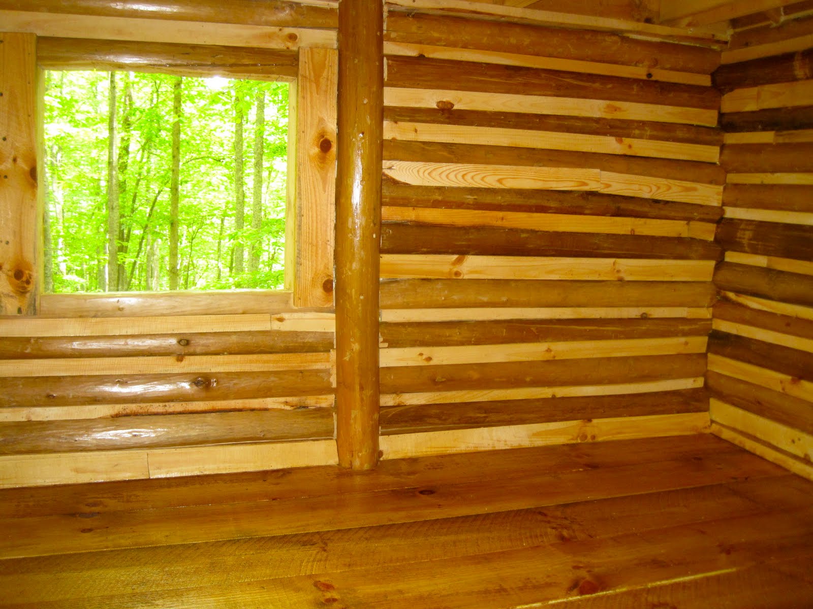 COLD HOLLER a Postmodern (B)log Cabin in the Land of the Noonday Sun