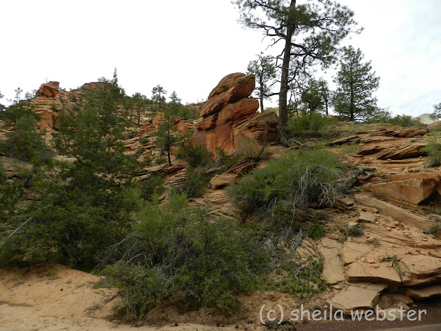 rock formations on a tree covered hillside