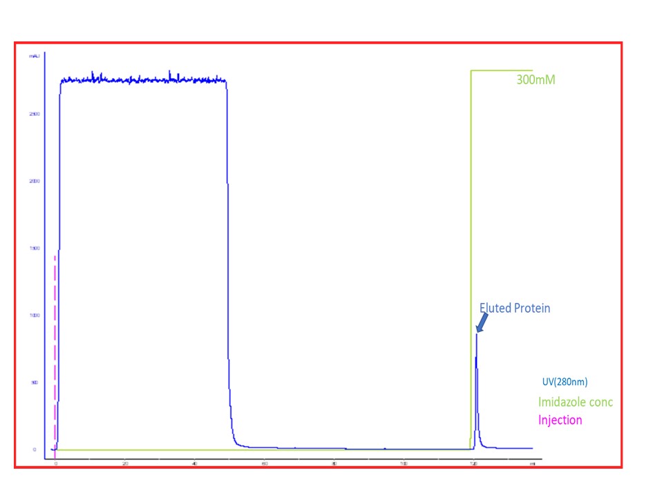 ProteoCool ProteoCool Pills9 Use of low purity imidazole in buffer