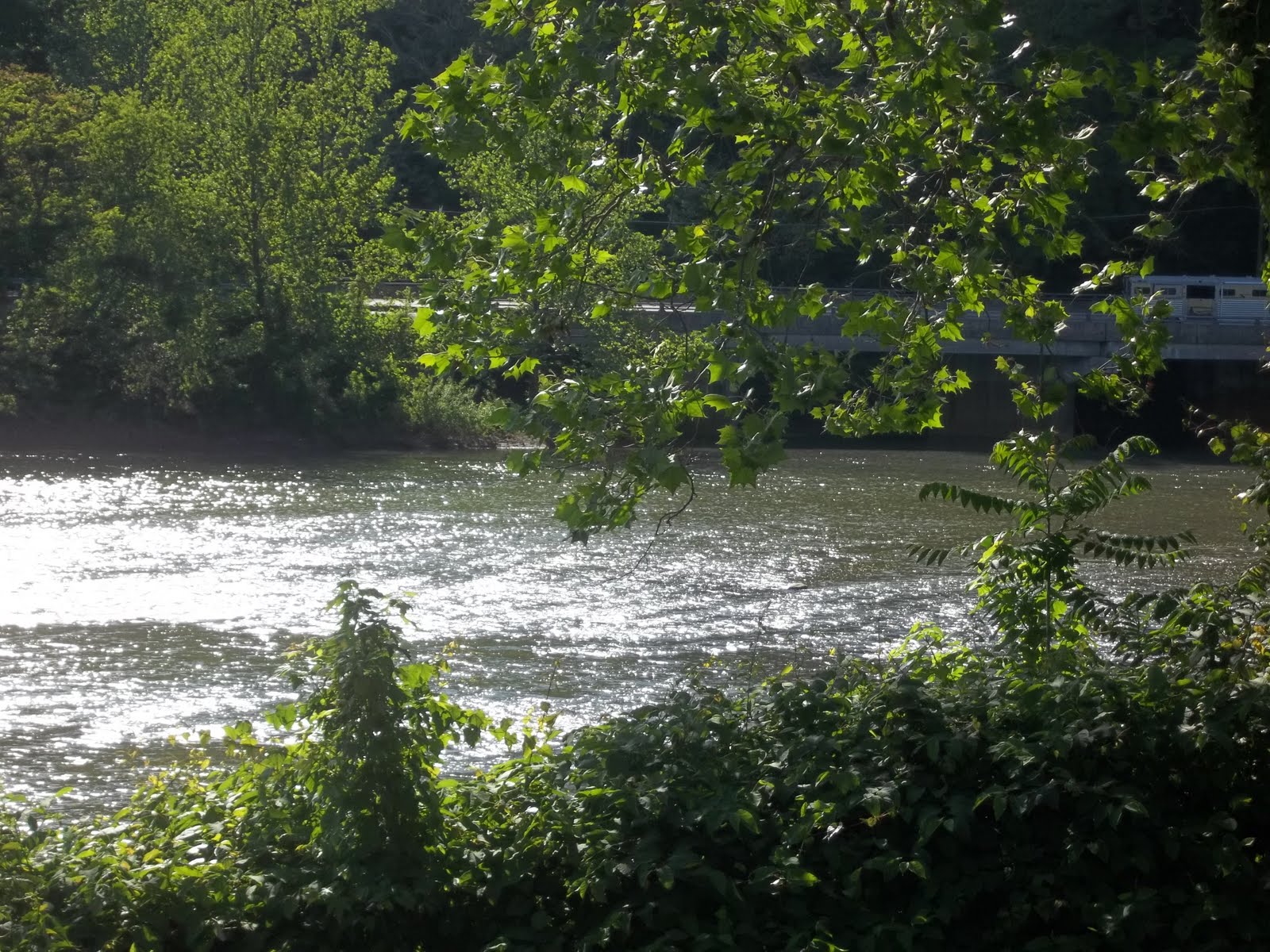 Indiana County Tourist Bureau Saltsburg Canal Days Festival
