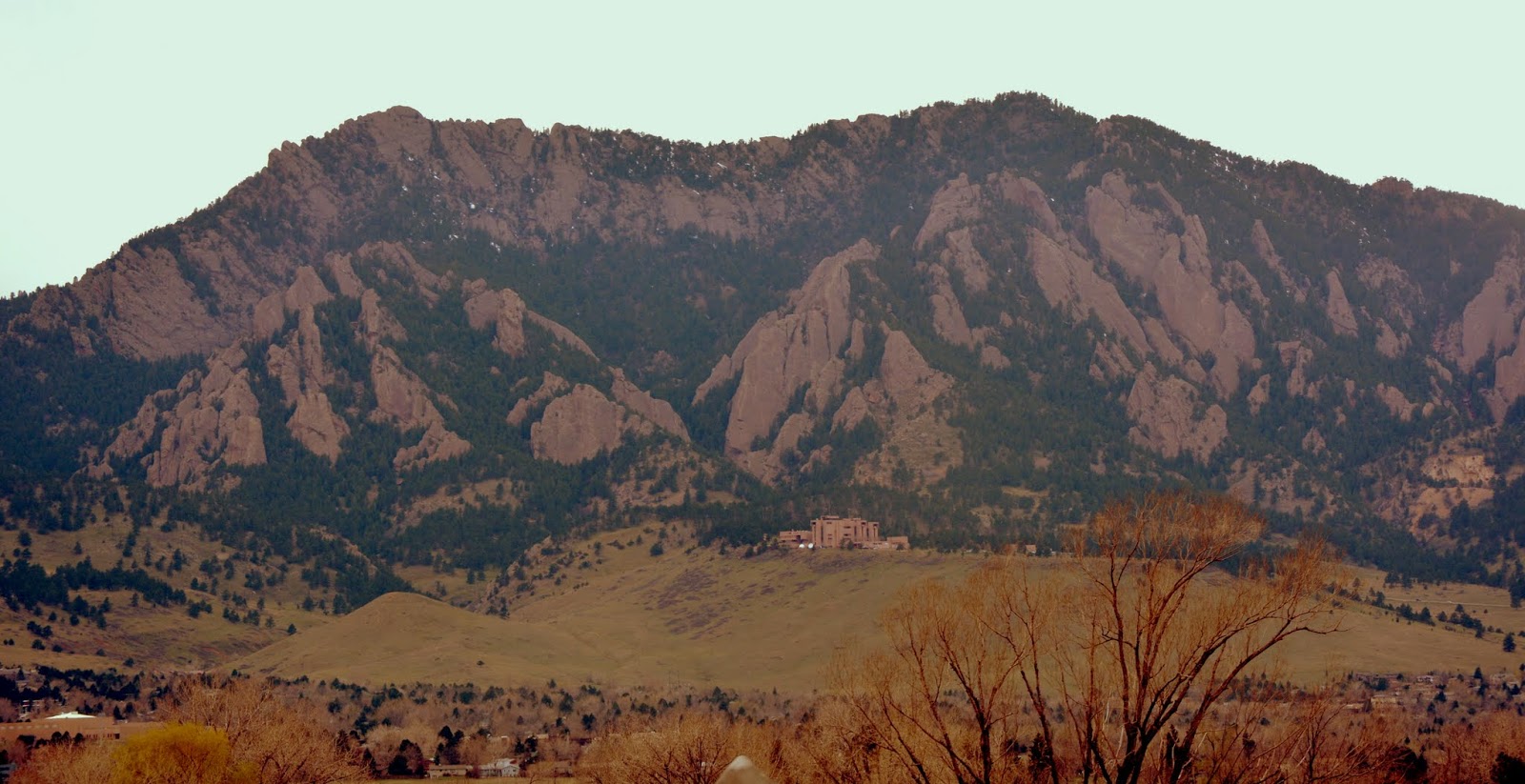 Mille Fiori Favoriti Is Louisville, Colorado, One of the Best Places