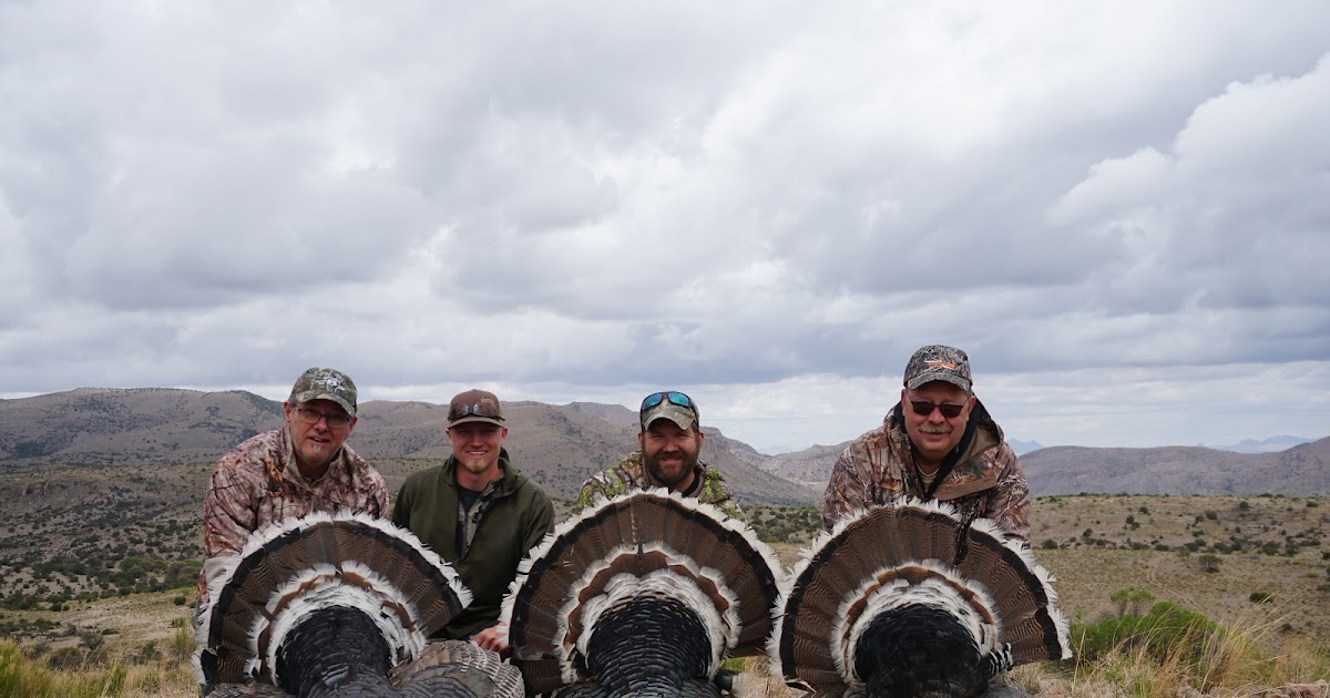 Goulds Turkey Hunt 2021 Mexico Gould's Turkey Hunt Season Highlight Videos
