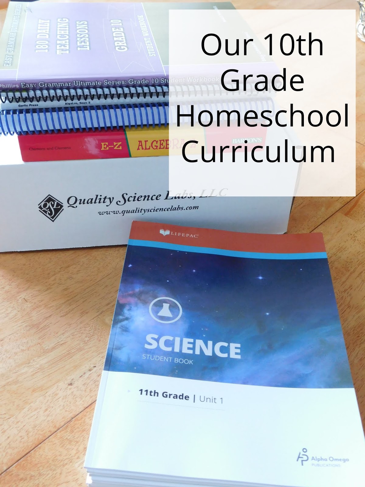 Our 10th Grade Curriculum