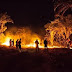MEIO AMBIENTE / Incêndio consume centenas de licurizeiros e umbuzeiros em área rural no município de Serrolândia