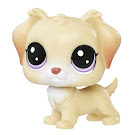 Littlest Pet Shop Singles Ginny Junebug (#83) Pet
