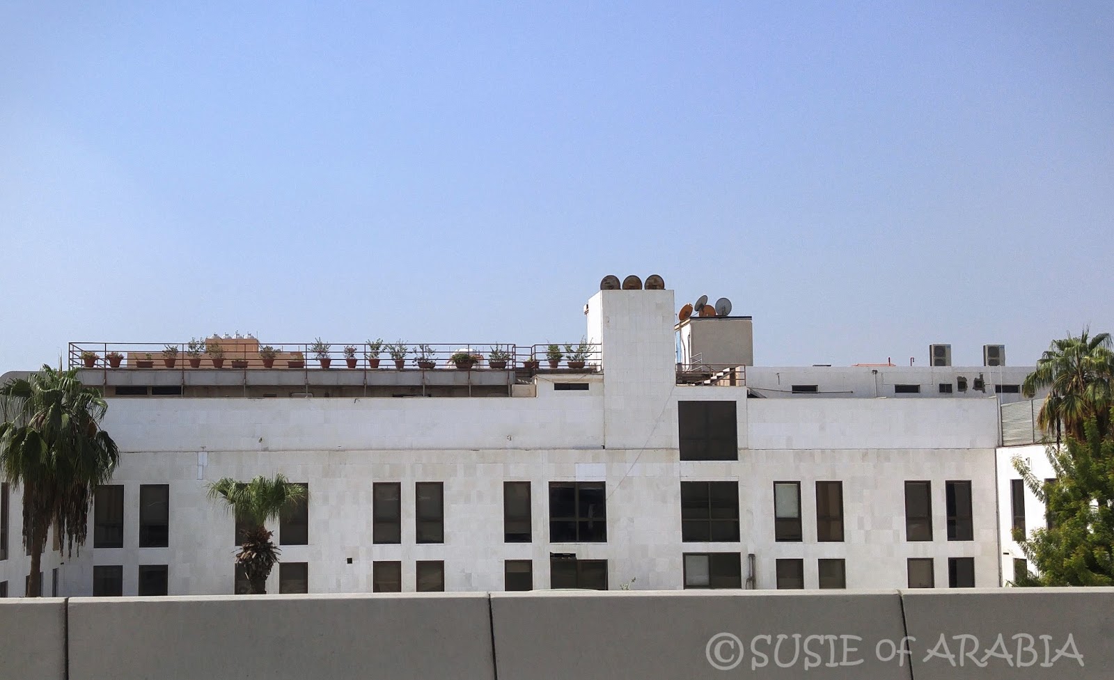 Jeddah Daily Photo Jeddah Rooftop Garden