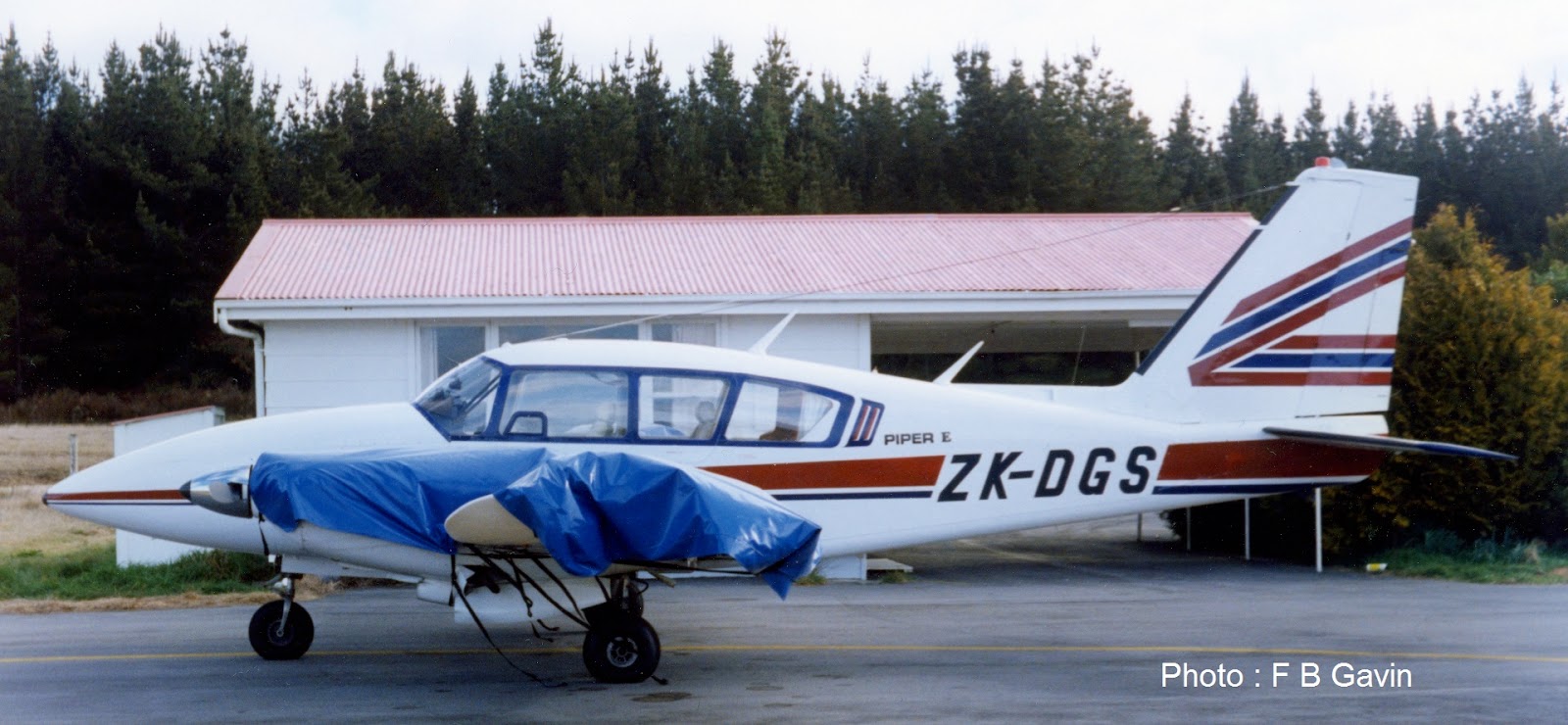 3rd Level New Zealand Pineland Airline Pine Air