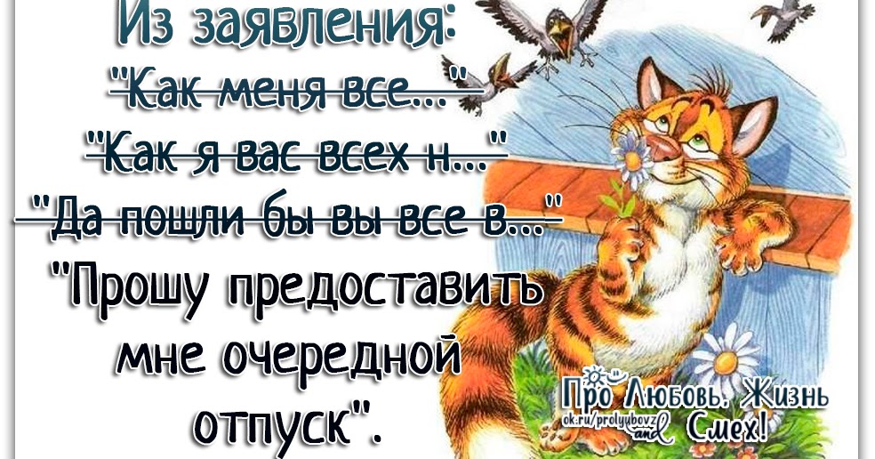 конституции заявление об отпуске картинки сорт