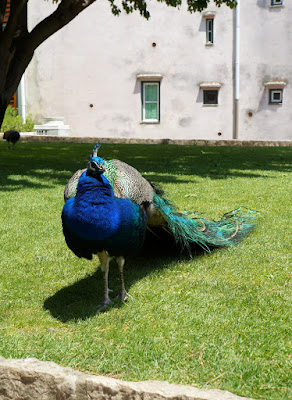 Castelo Sao Jorge-Lisbonne-Portugal