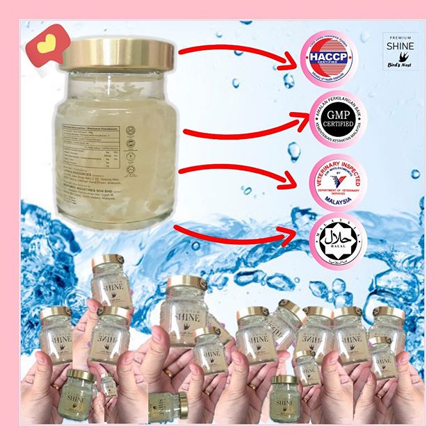 Kebaikan Dan Manfaat Premium Shine Bird's Nest