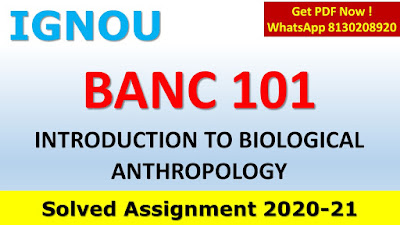 BANC 101 Solved Assignment 2020-21