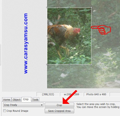 gambar dengan Photoscape sanggup dijalankan dengan mudah dan cepat ioannablogs.com Cara Memotong (Crop) Foto/Gambar di Photoscape