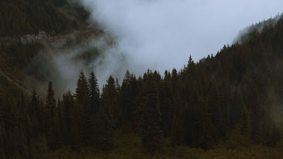 Mountains, pines, trees, fog, road, car, nature Mountains, pines, trees, fog, road, car, nature