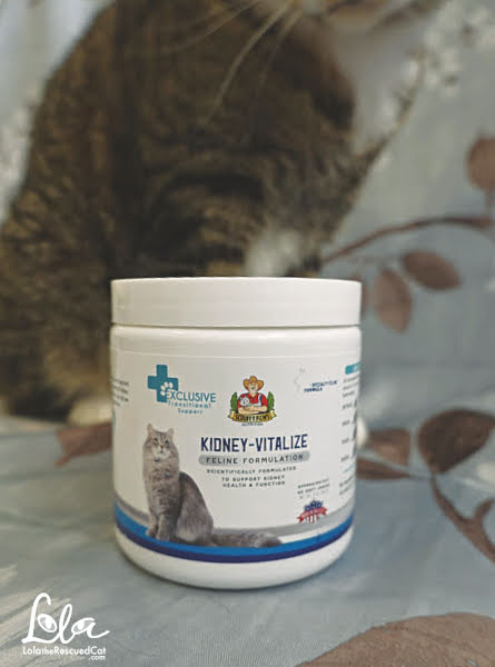 Tabby cat with Kidney-Vitalize Chews by Scruffy Paws Nutrition