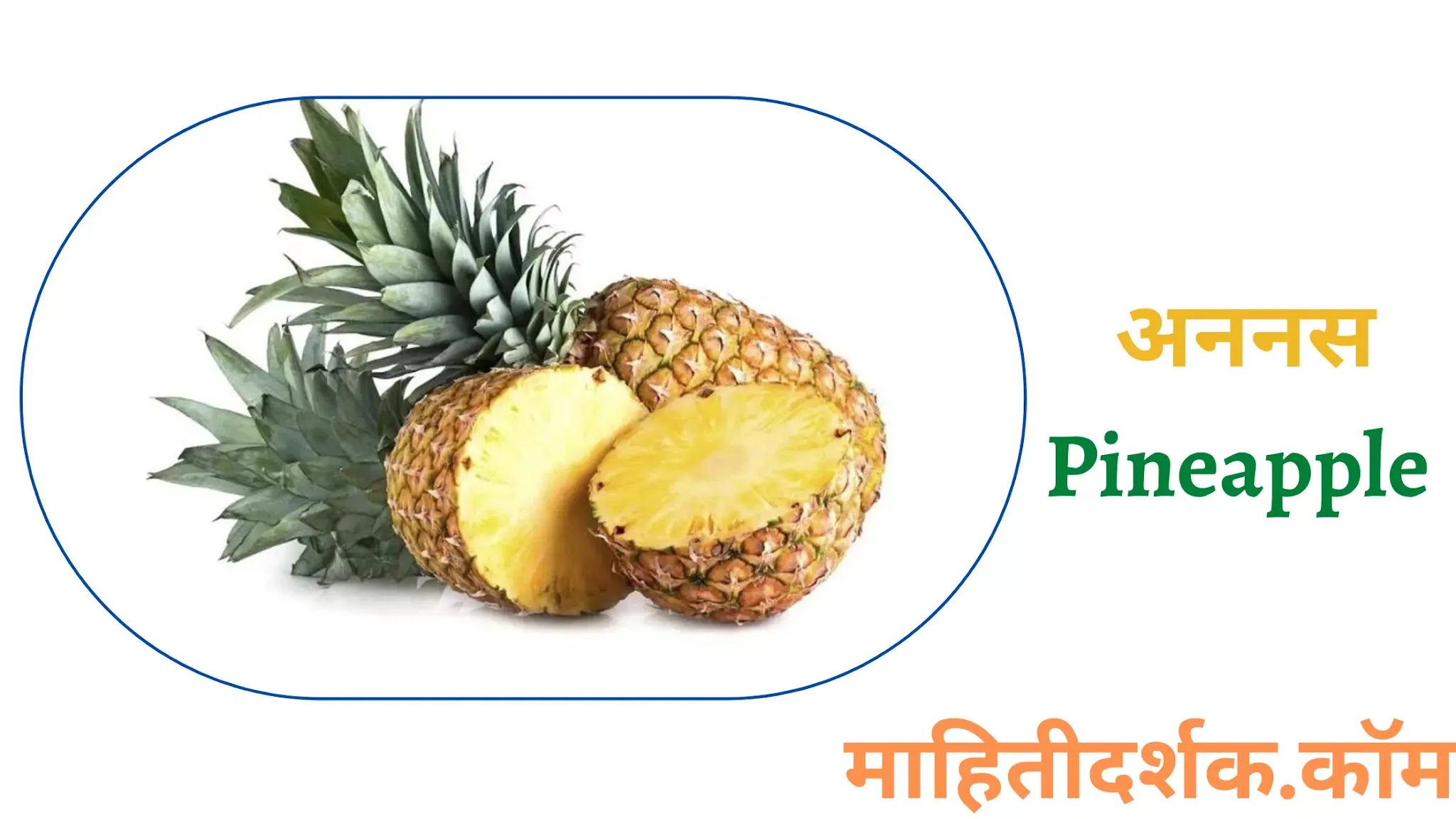 Fruit Name in Marathi