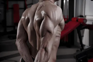 Top 5 Exercises To Build Triceps, Muscular Tricep Top 5 Exercises To Build Triceps, Muscular Tricep