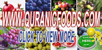 Quranic Foods Info