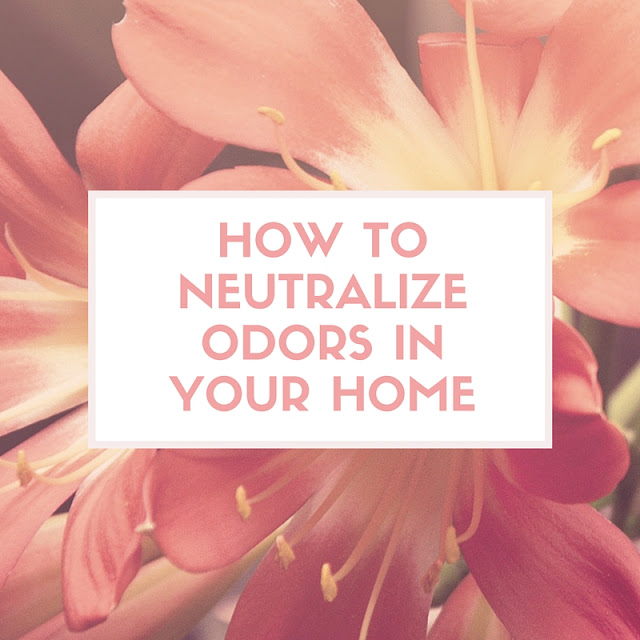 Ask Away Blog How To Neutralize Odors In Your Home [ + a giveaway]