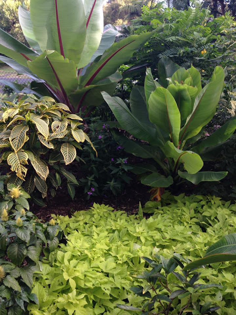 Peter%2BNixon_coastal%2Bgarden2.jpg
