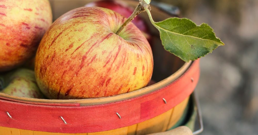 Fresh Gala Apples 54 Cents Per 3LB Bag!